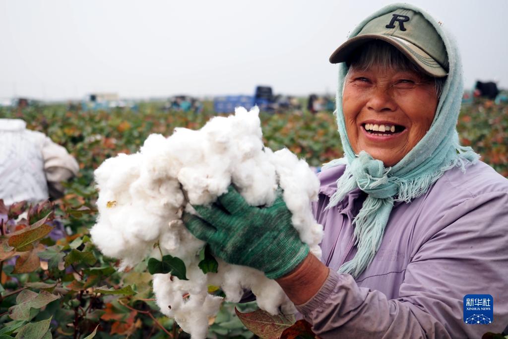 悠悠捕鱼游戏中心